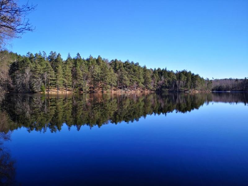 Attefallshus Saeng 160 Baeddsoffa 160 Växjö Buitenkant foto